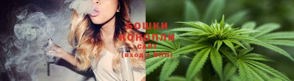 стафф Михайлов