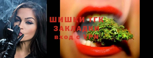 стафф Михайлов