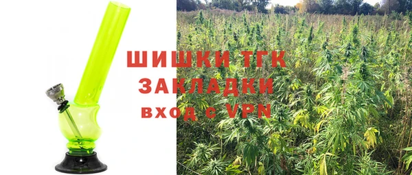 трава Белокуриха