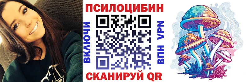 Псилоцибиновые грибы Psilocybe Алзамай